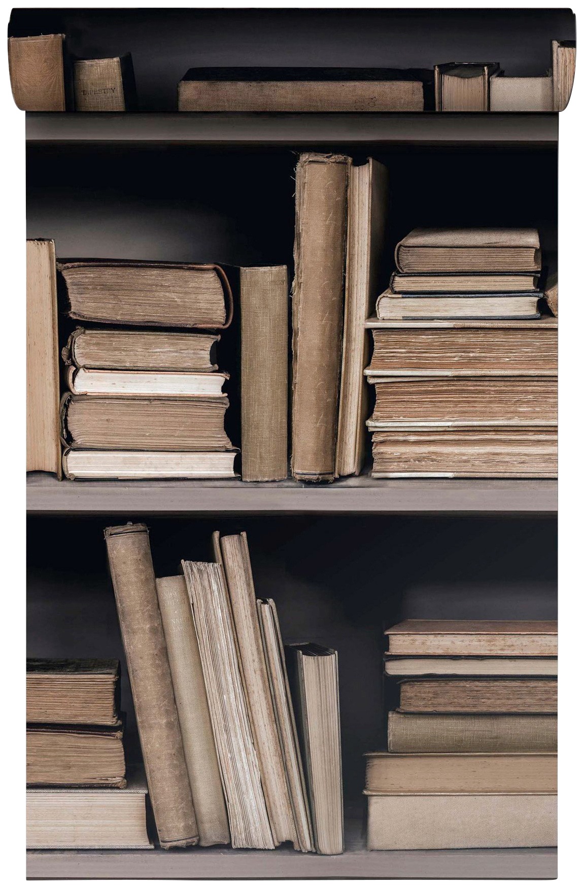 Bodenmeister Fototapete »3d Effekt Bücherregal hell«