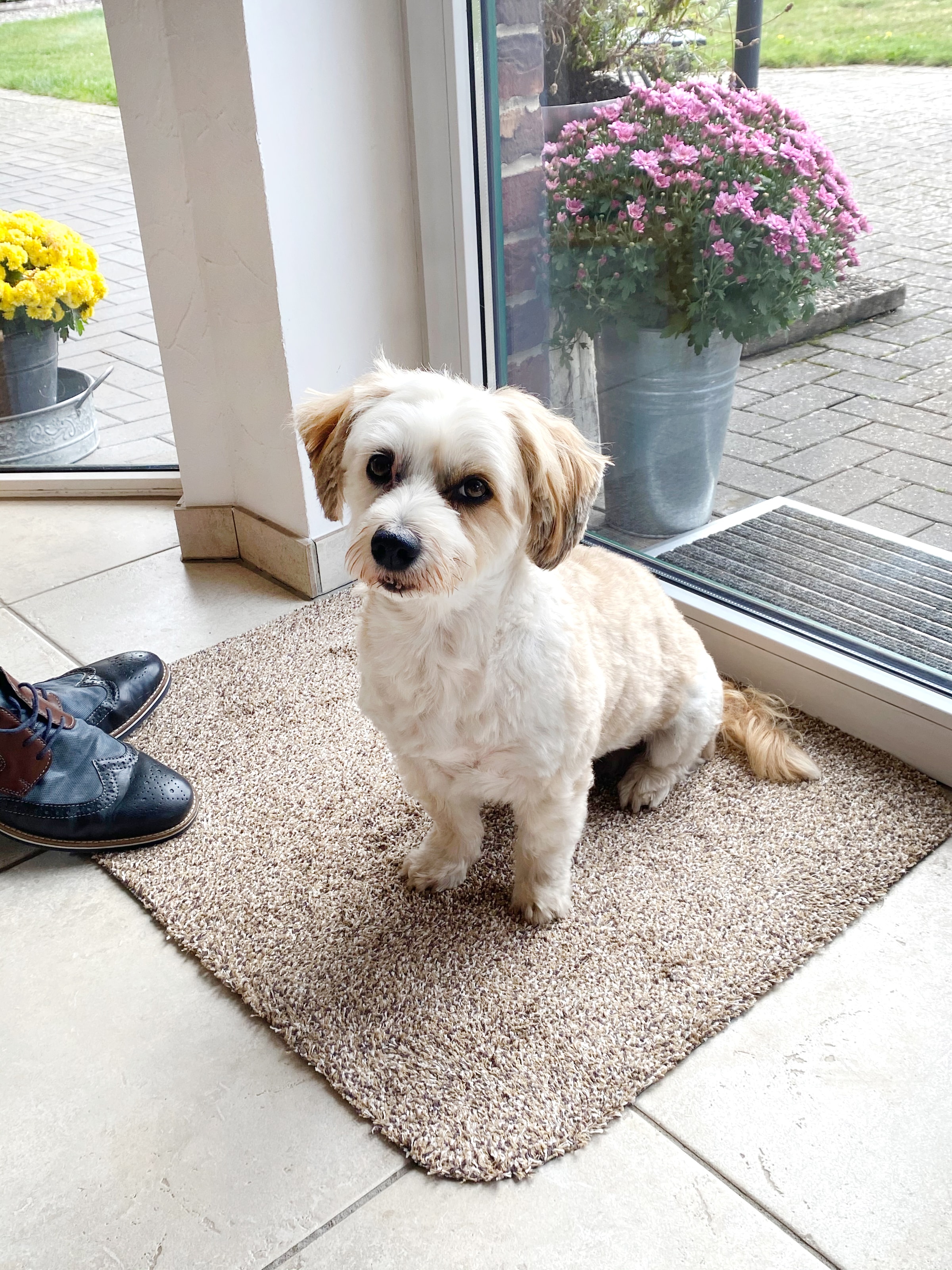 ASTRA Fußmatte »Saugstark 601« rechteckig 9 mm Höhe Schmutzfangmatte, In -und Outdoor geeignet