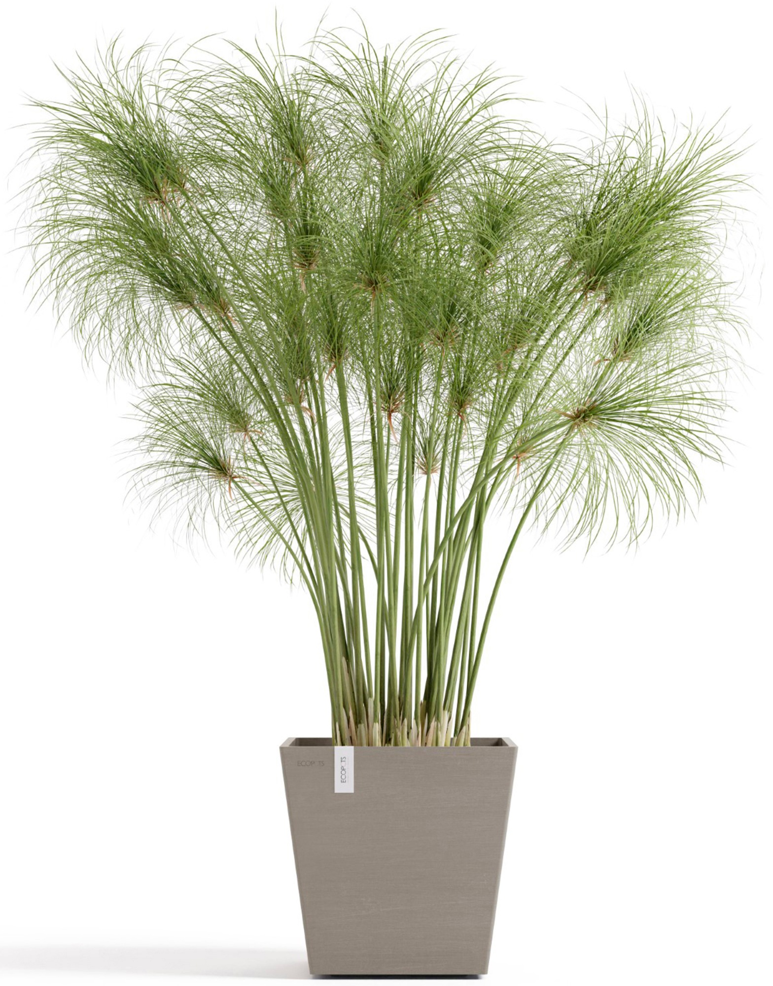 ECOPOTS Blumentopf »Rotterdam 25 + Wassersystem Taupe« für innen und außen: frostsicher, bruchsicher und lichtbeständig