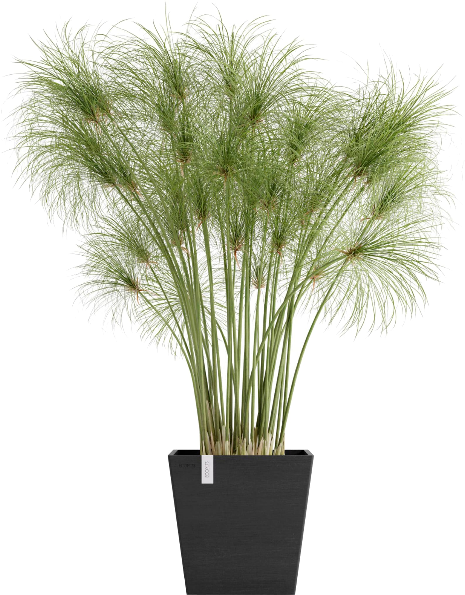 ECOPOTS Blumentopf »Rotterdam 25 + Wassersystem Dunkelgrau« für innen und außen: frostsicher, bruchsicher und lichtbeständig