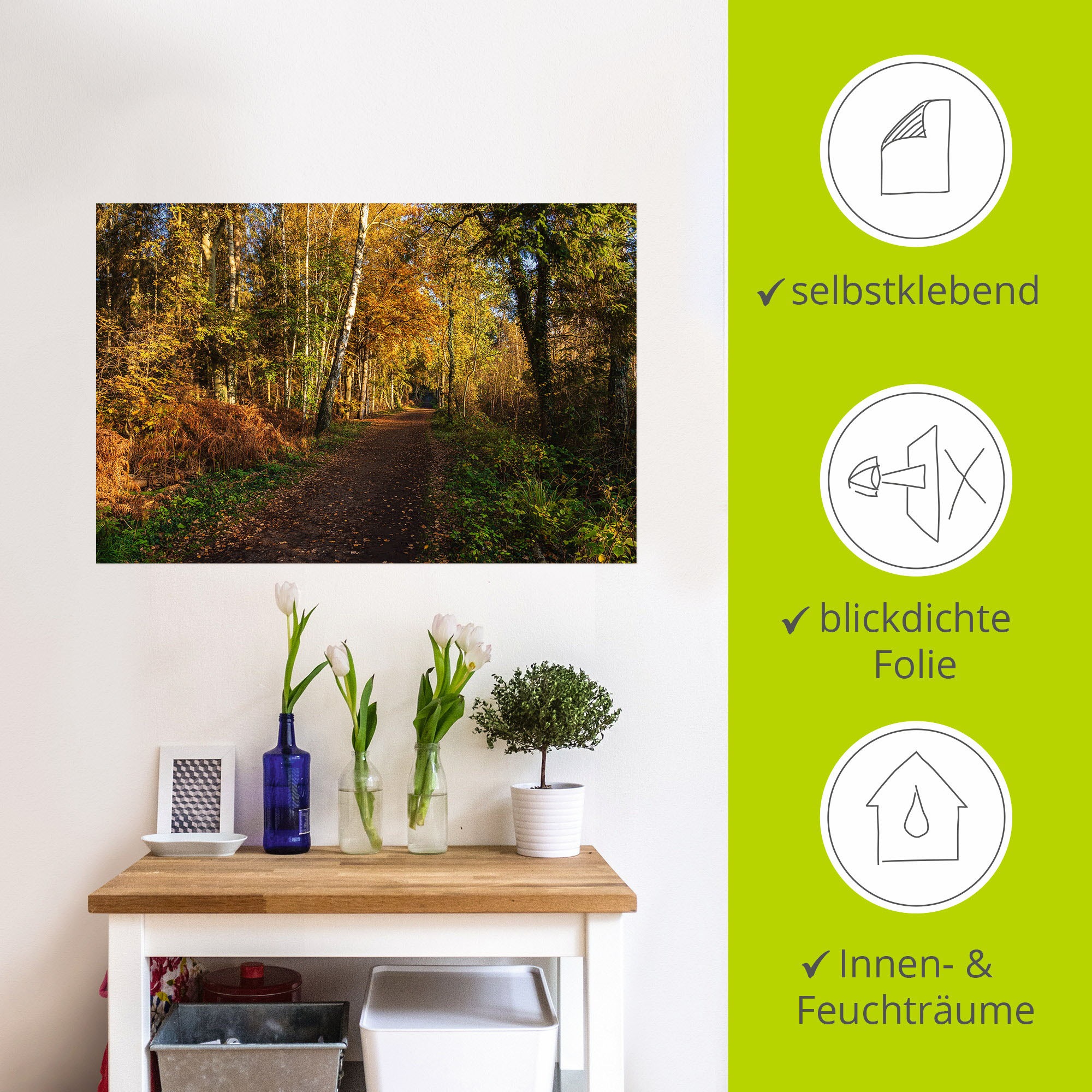 Artland Wandbild »Bäume herbstlich auf dem Fischland-Darß«, Waldbilder, (1 St.), als Alubild, Leinwandbild, Wandaufkleber oder Poster in versch. Größen