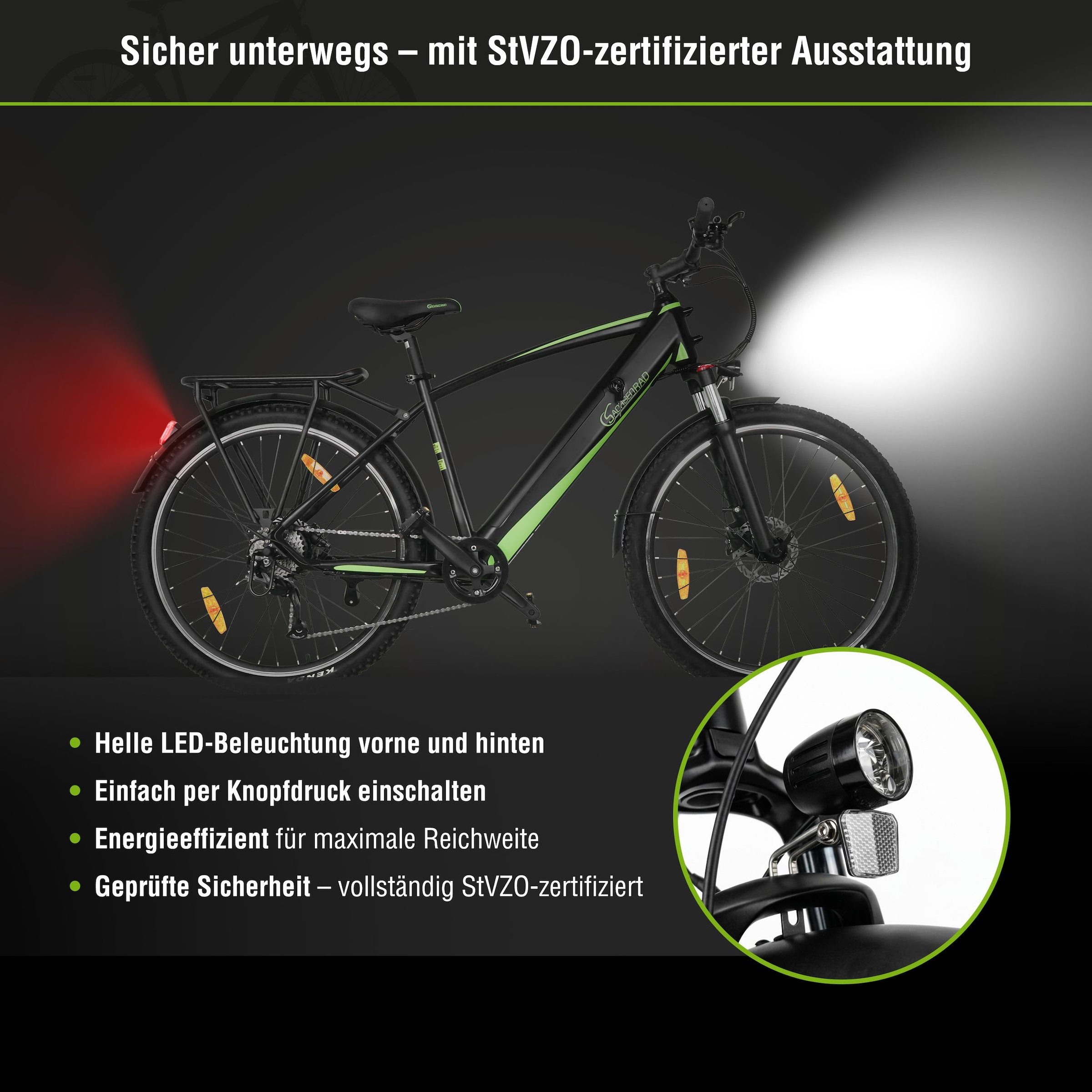 SachsenRad »R8T Flex III mit Gepäckträger« 9 Gang Shimano Kettenschaltung Heckmotor 250 W
