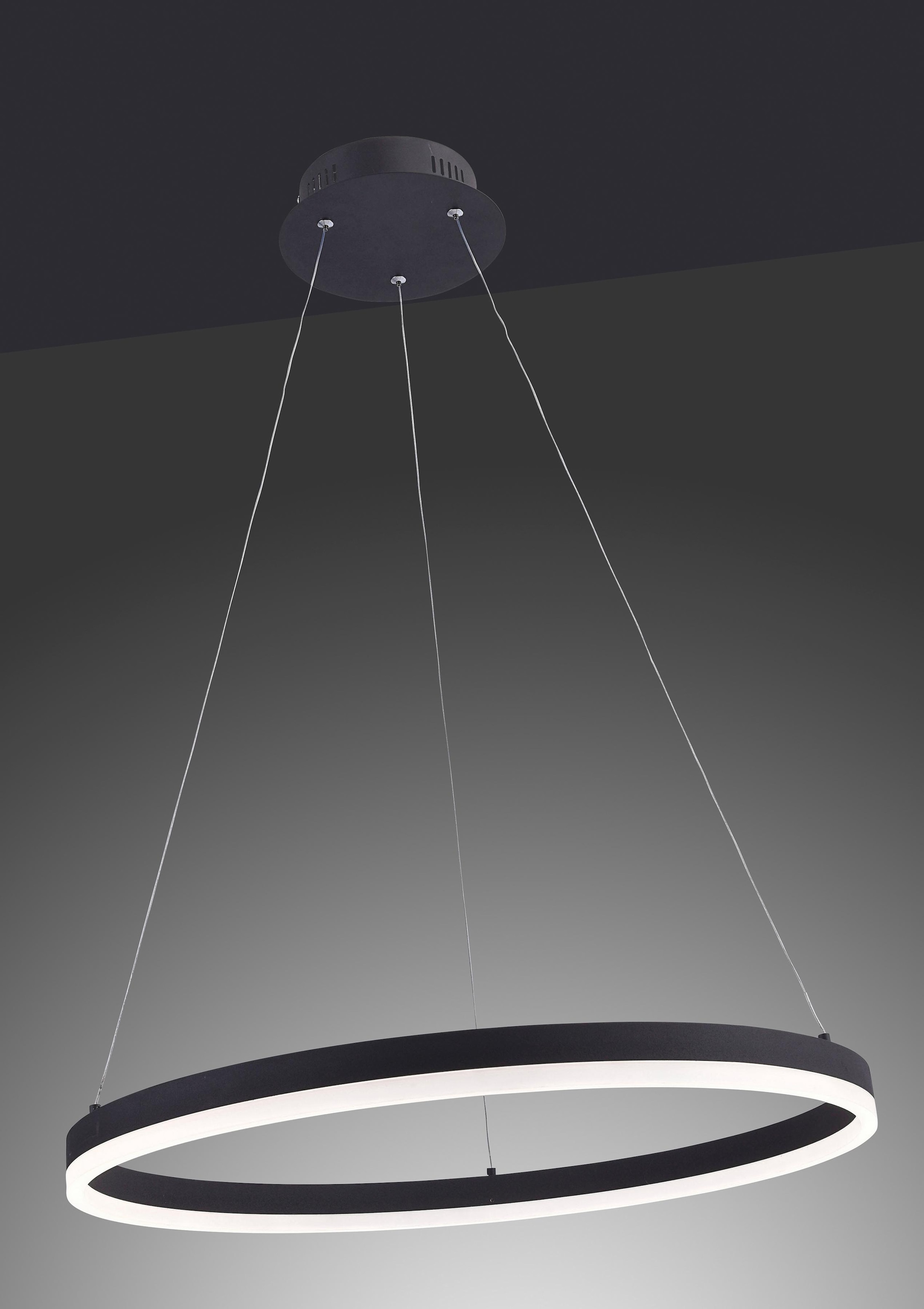 Paul Neuhaus Pendelleuchte »TITUS«, 1 flammig, Leuchtmittel LED-Board | LED fest integriert, LED, dimmbar, Simply Dim, Memory, nach Trennung vom Netz