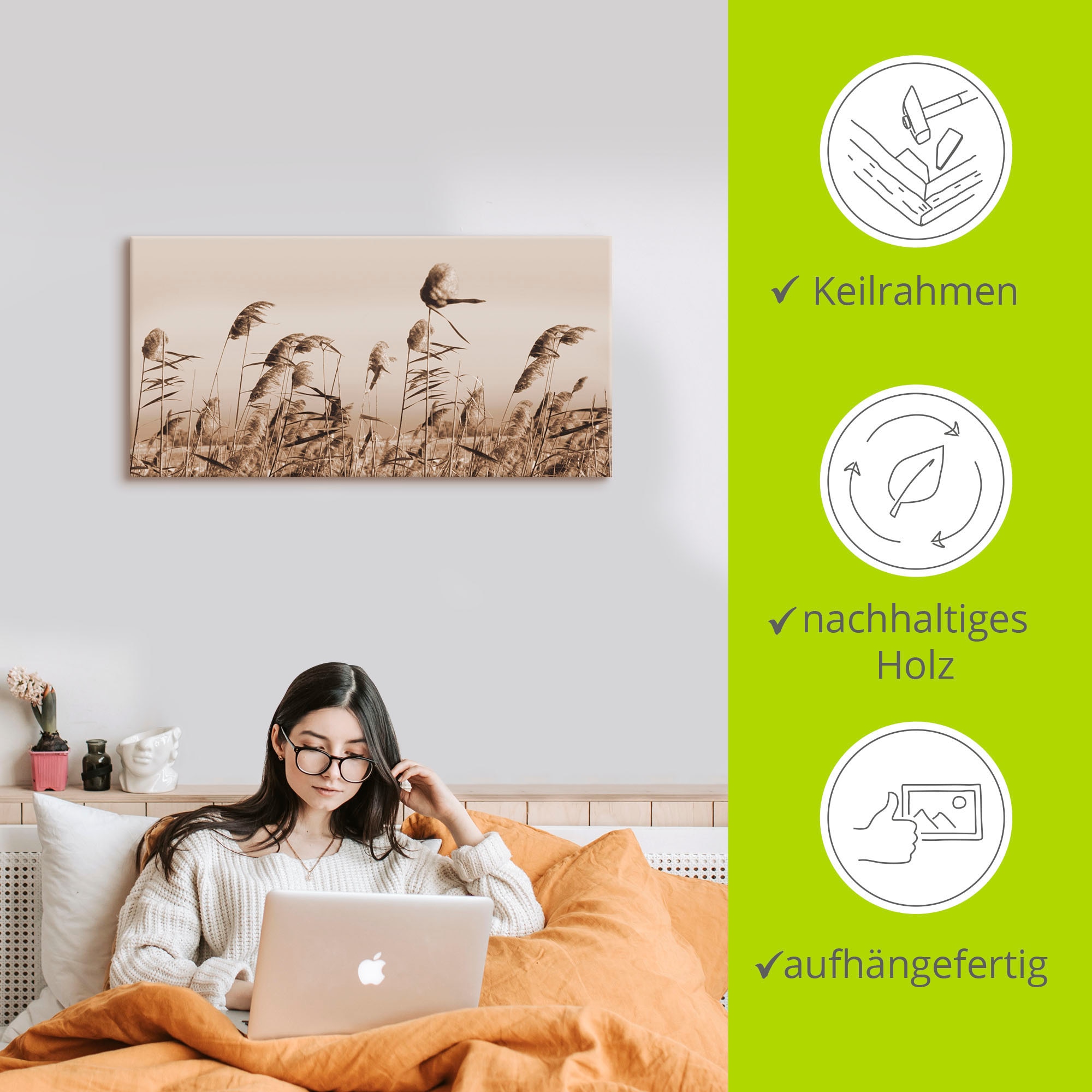 Artland Wandbild »Gräser«, Gräser, (1 St.), als Alubild, Outdoorbild, Leinwandbild, Poster, Wandaufkleber