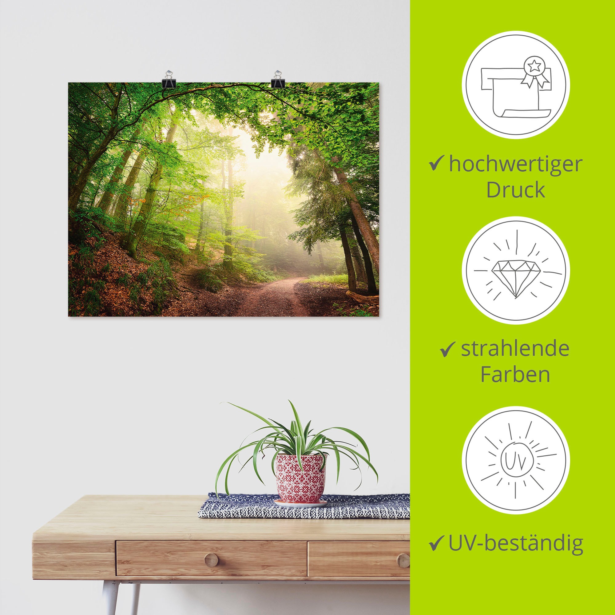 Artland Wandbild »Natürliche Torbögen durch Bäume«, Wald, (1 St.), als Alubild, Outdoorbild, Poster, Wandaufkleber in verschied. Größen