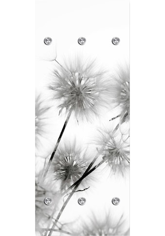 queence Garderobenleiste »Pusteblumen«, mit 6 Haken, 50 x 120 cm kaufen