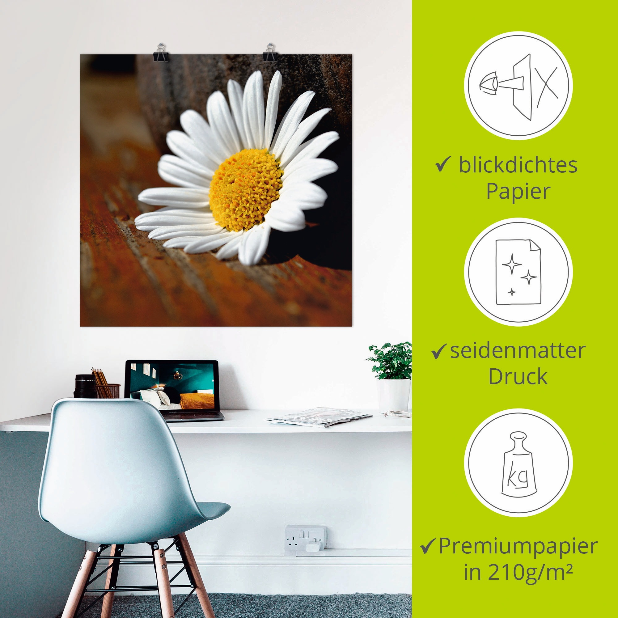 Artland Poster »Margeriten Stillleben«, Blumen, (1 St.), als Leinwandbild, Wandaufkleber oder Poster in versch. Größen
