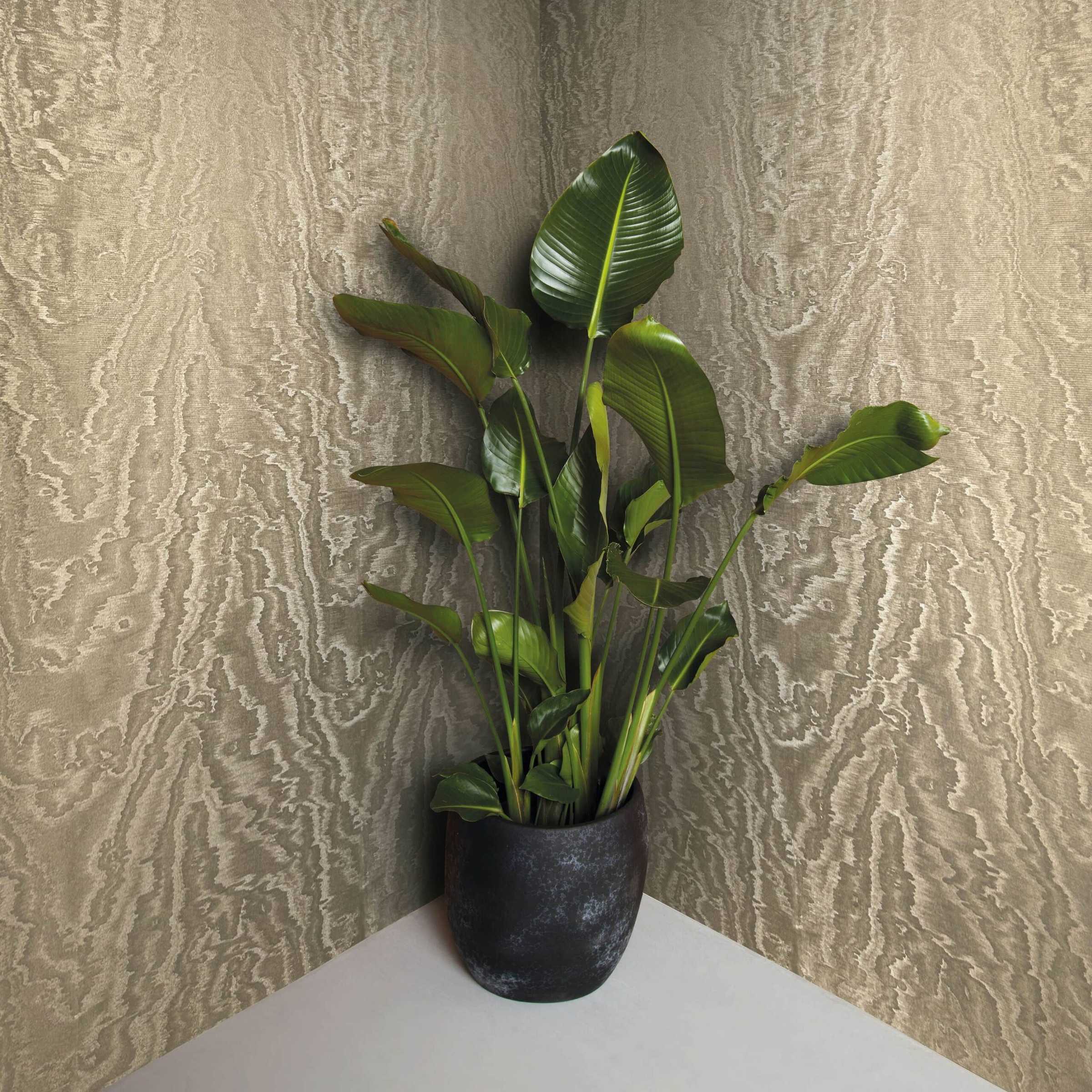 Marburg Vliestapete »Tapete Glänzendes Lichtspiel« glänzend geprägt moderne Vliestapete für Wohnzimmer Schlafzimmer Küche