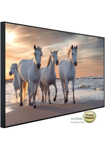 Papermoon Infrarotheizung »Pferde am strand«, sehr angenehme Strahlungswärme kaufen