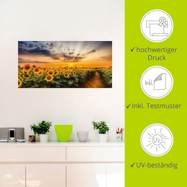 bei oder Poster Blumenbilder, Wandbild Wandaufkleber Sonnenuntergang«, kaufen Größen (1 St.), Artland versch. online »Sonnenblumenfeld in Leinwandbild, Alubild, als