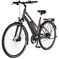 FISCHER Fahrrad E-Bike »VIATOR 1.0 Damen 422«, 8 Gang, (mit Akku-Ladegerät-mit Werkzeug)