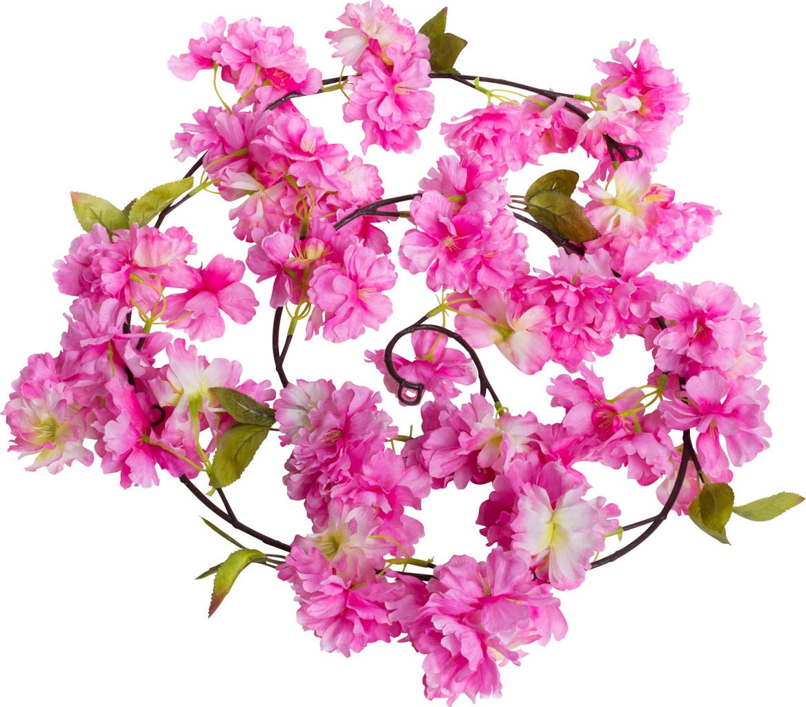 online »Kirschblütengirlande«, Botanic-Haus kaufen (1 St.) Kunstblume