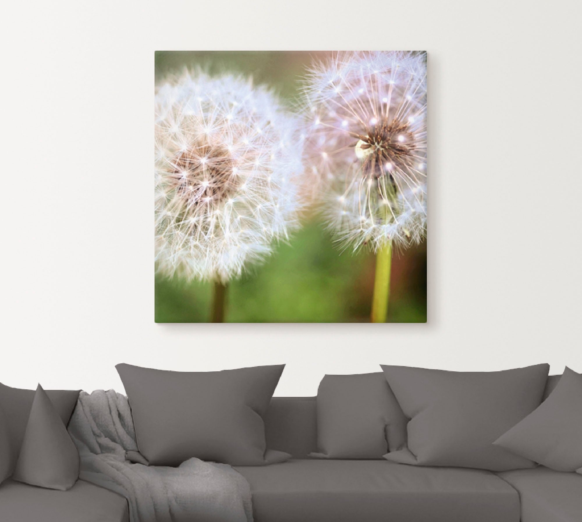 Artland Leinwandbild »Pusteblume Zweisamkeit«, Blumen, (1 St.), auf Keilrahmen gespannt