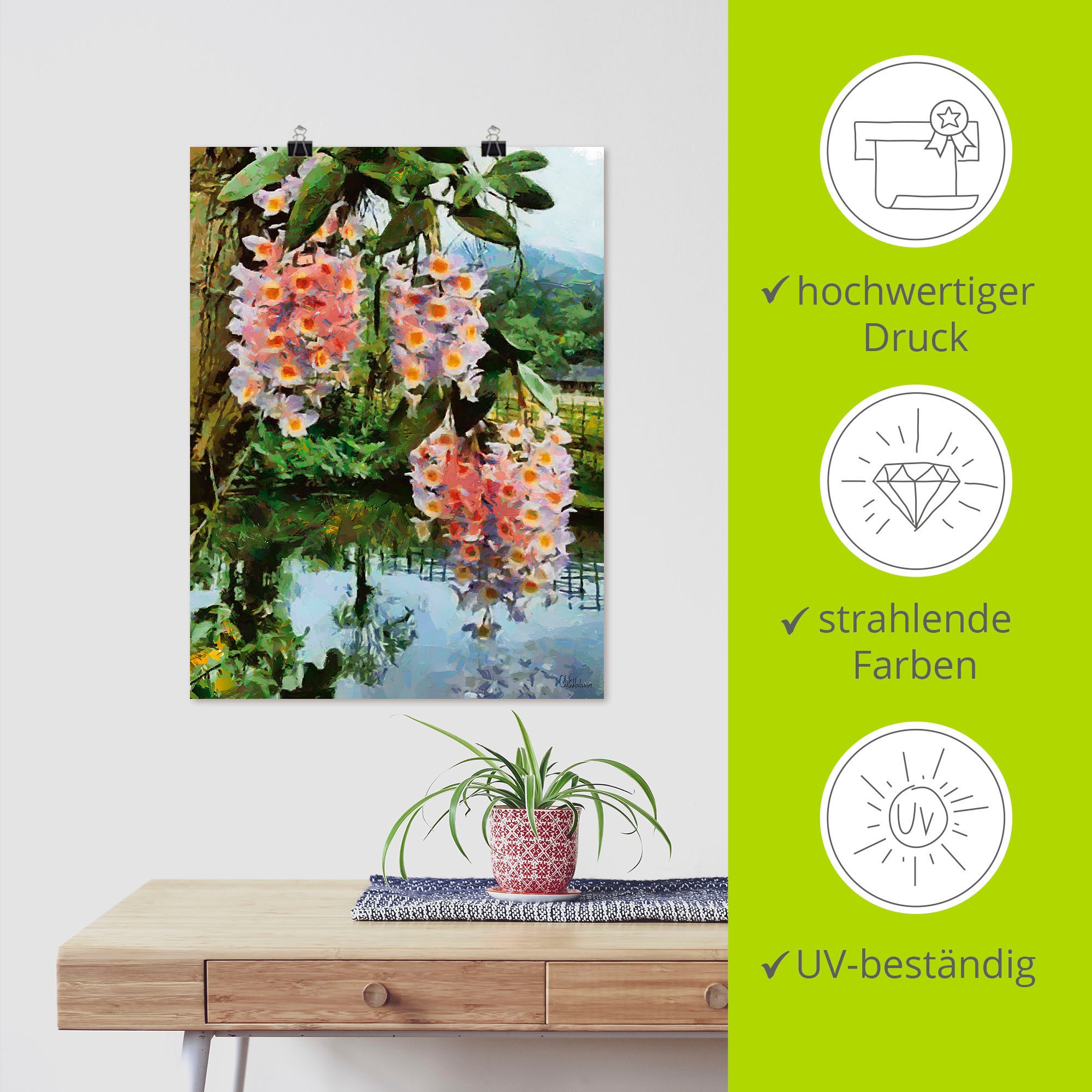 versch. Poster in Wandbild II«, als »Blühender tropischer Leinwandbild, (1 online Wandaufkleber oder Baumbilder, Alubild, kaufen St.), Größen Artland Baum
