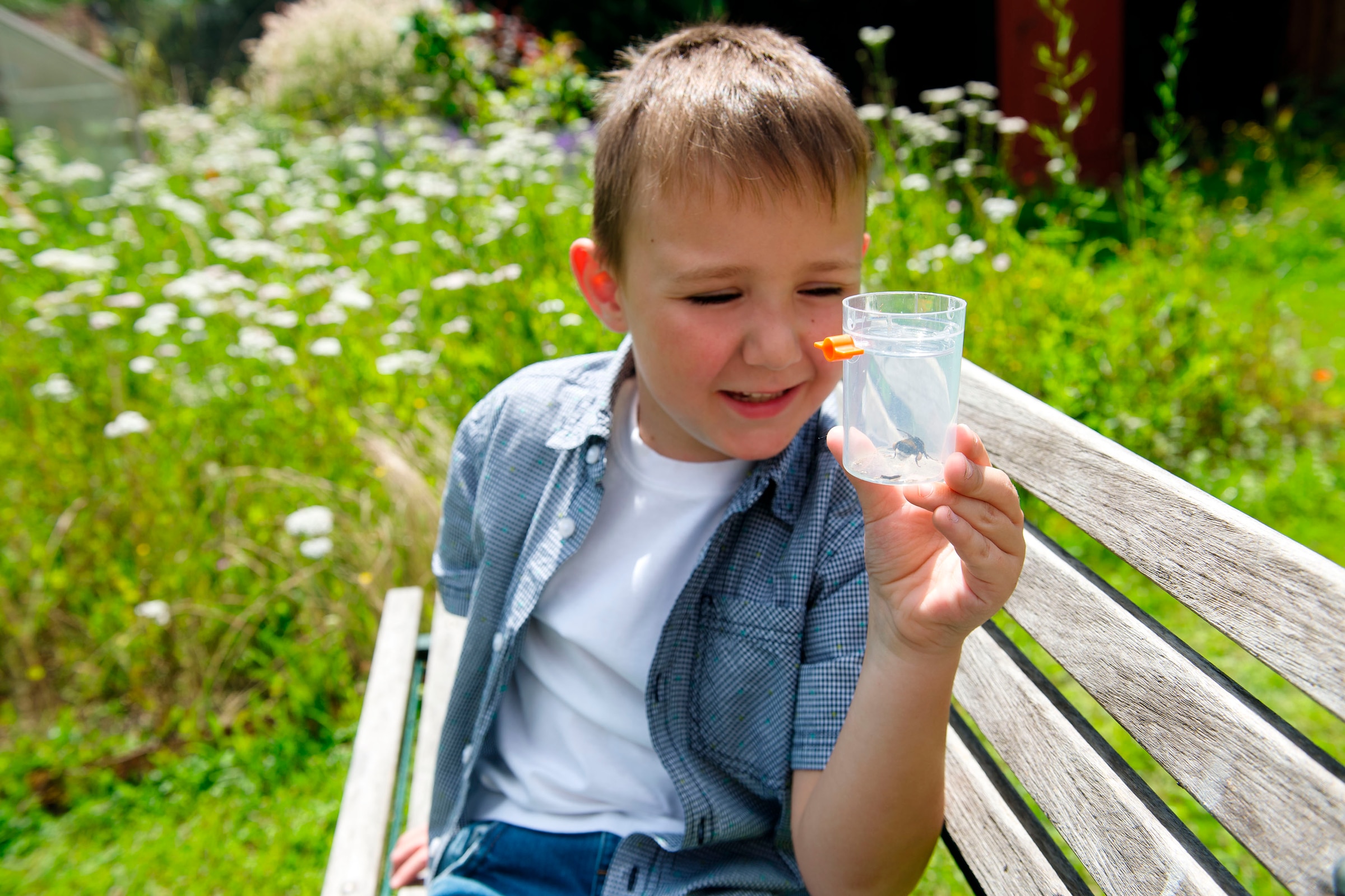 Haba Kreativset »Insektensauger Terra Kids«
