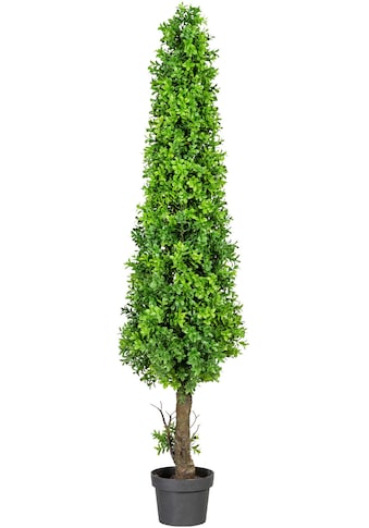 Creativ green Kunstpflanze »Buchsbaumpyramide«, (1 St.), im Kunststofftopf kaufen