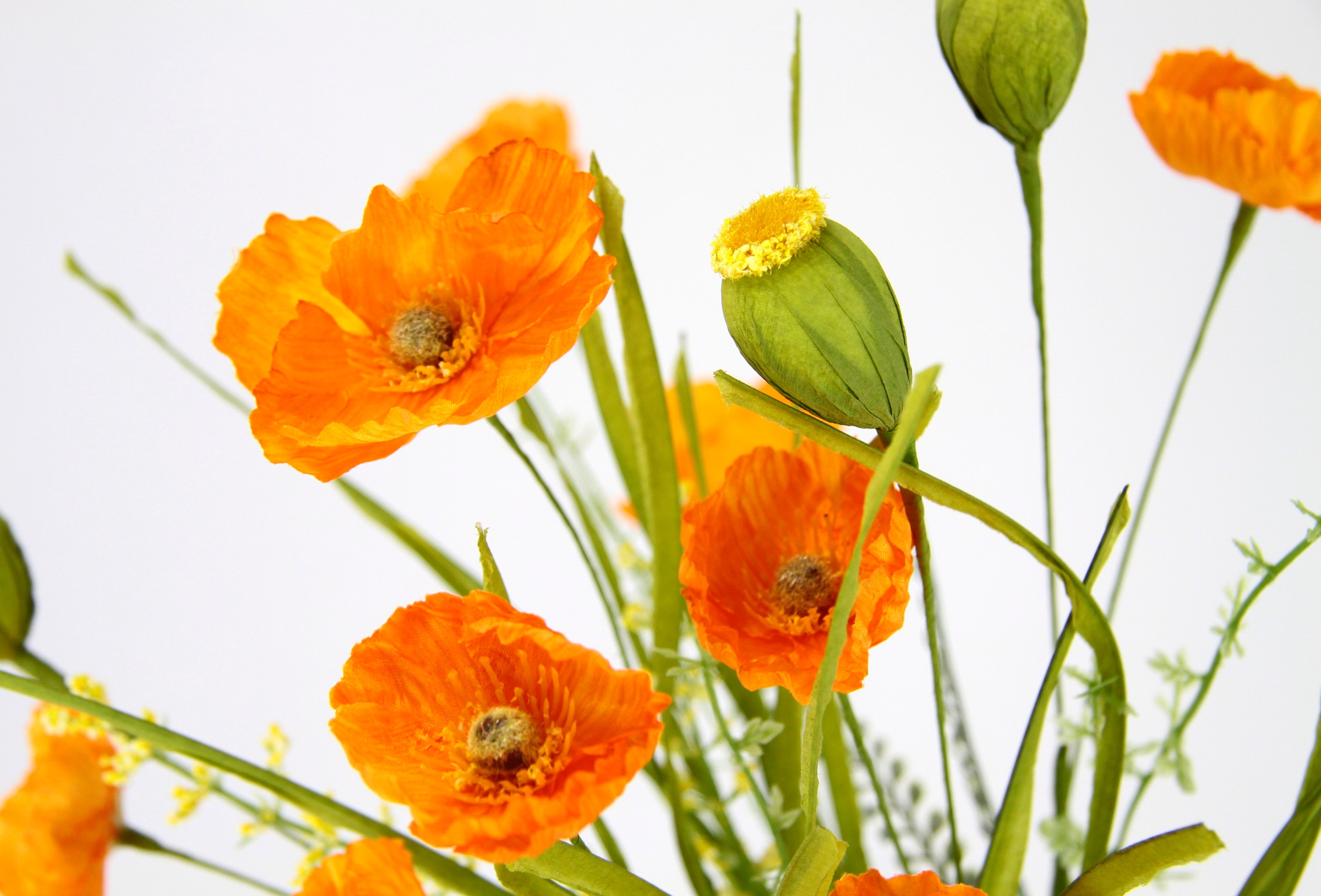 I.GE.A. Kunstblume »Mohnblumenbusch in Vase aus Keramik«, Blumen Mohnblume Mohn Mohnbusch Bouquet Strauß Seidenblumenstrauß