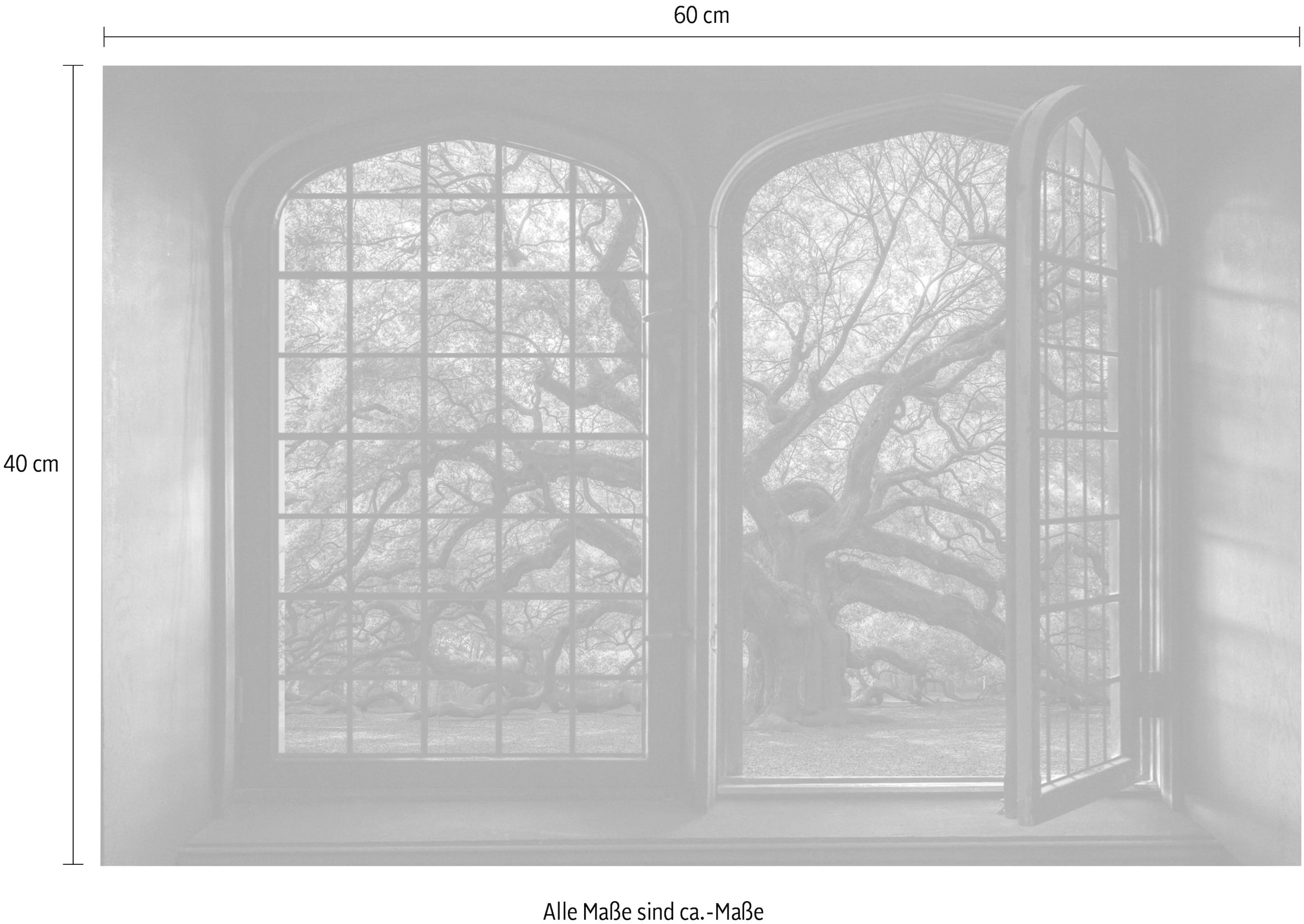 queence Wandsticker »Bäume«, Wandsticker, Wandbild, selbstklebend, 3D, Fenster