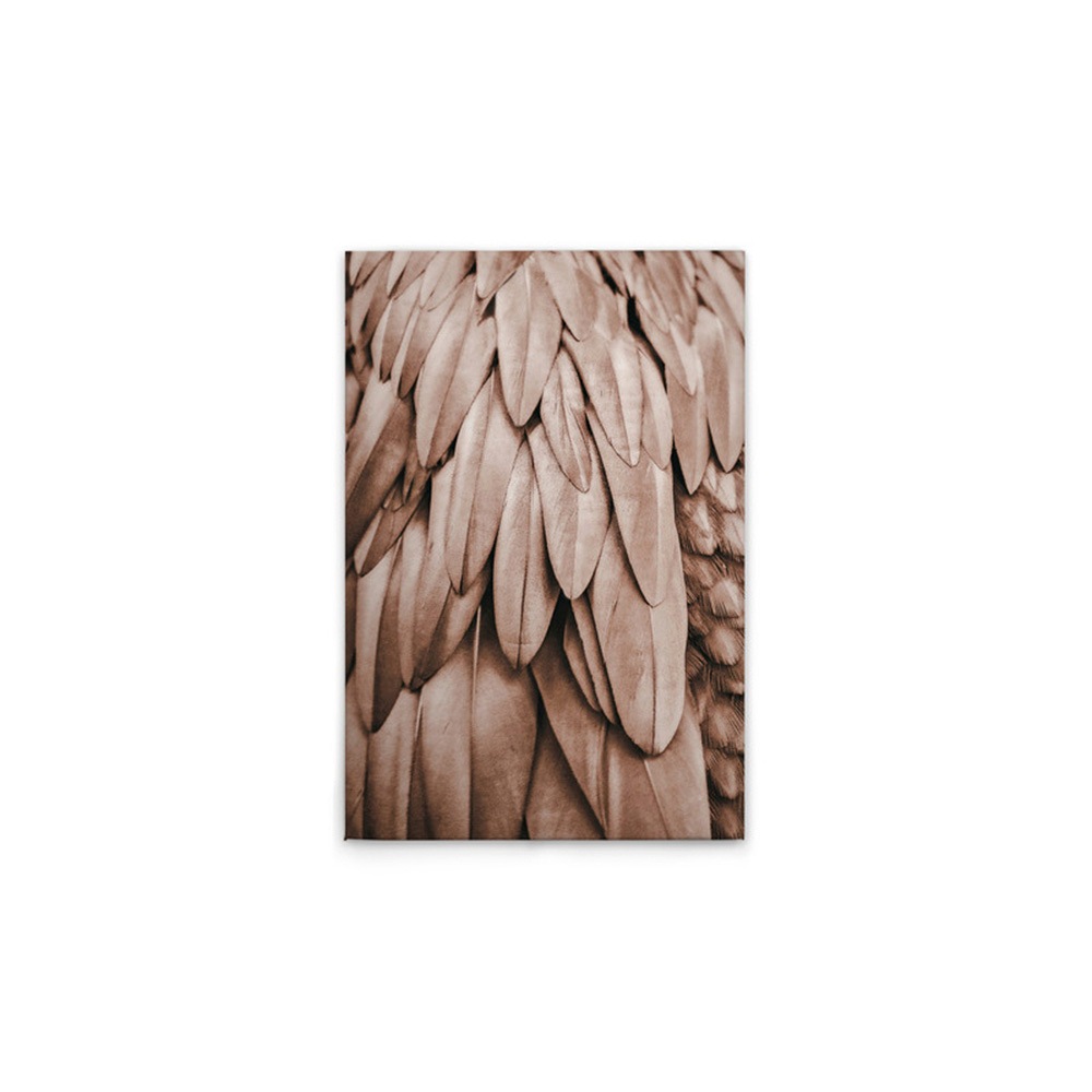 A.S. Création Leinwandbild »Feathers 1 - Wandbild Rosa Beige Keilrahmen Kun günstig online kaufen