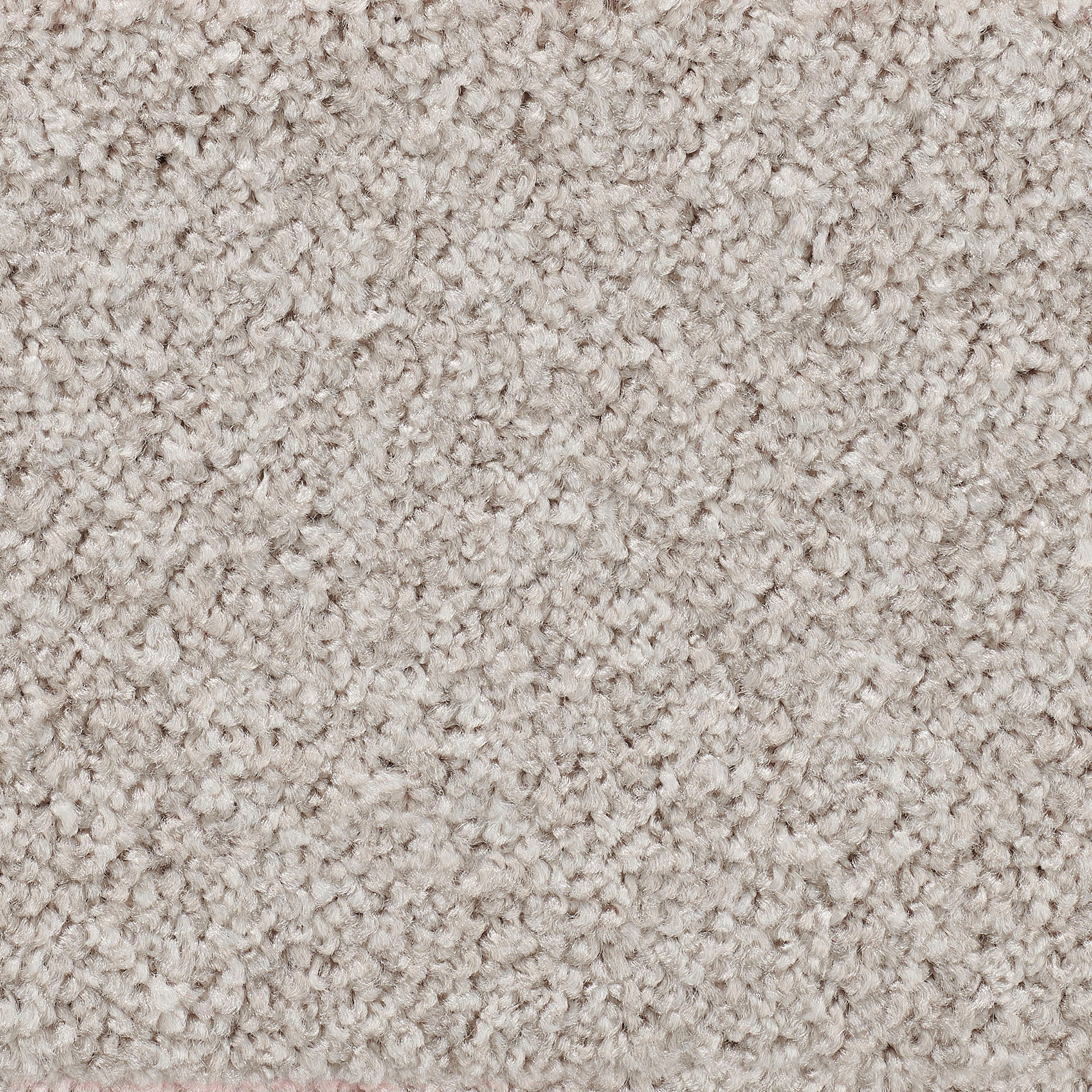 Vorwerk Teppichboden »Passion 1055, Velours - Uni Farben, Made in Germany«, günstig online kaufen