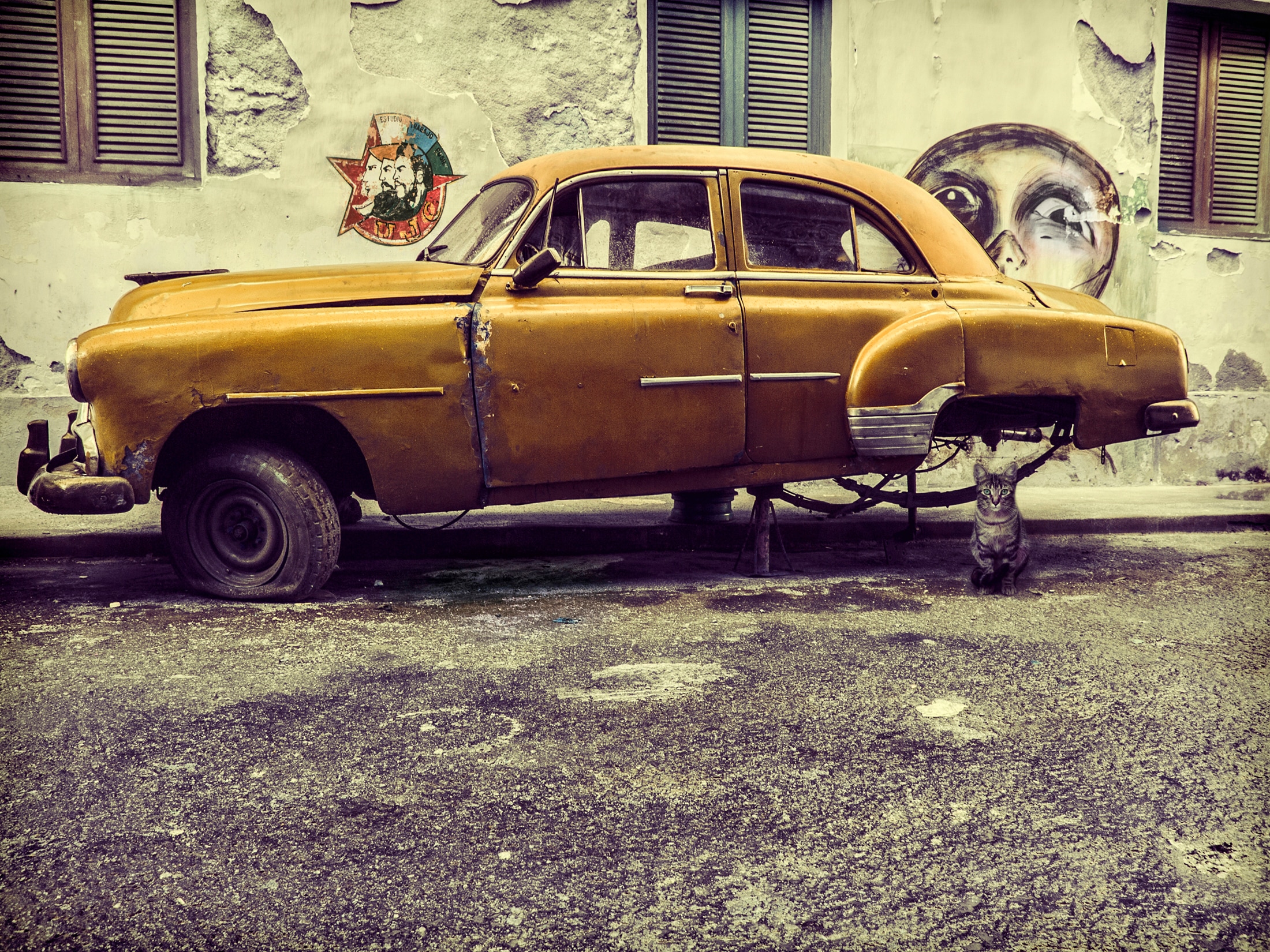 Papermoon Fototapete »Photo-Art SVETLIN YOSIFOV, ALTES AUTO / KATZE«