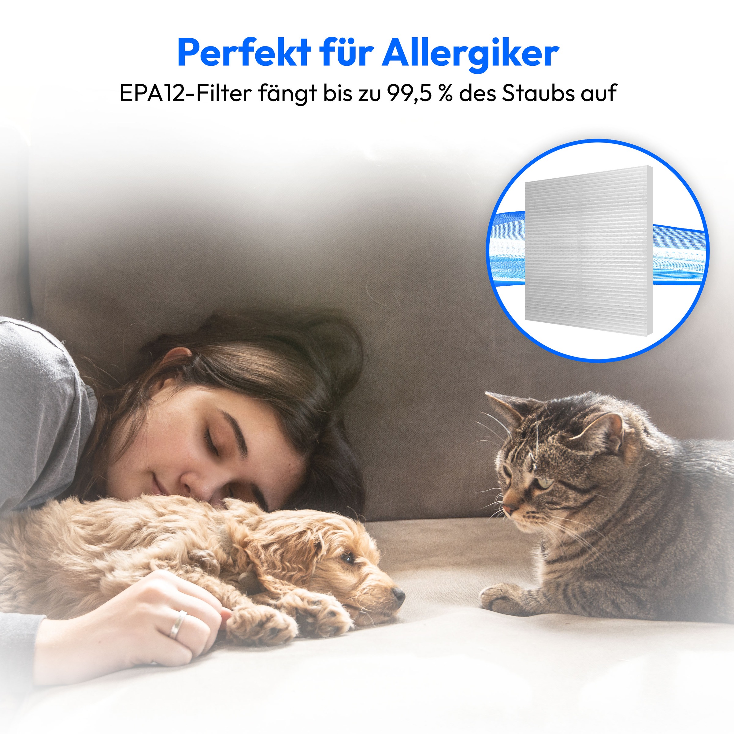 Medion® Bodenstaubsauger »P4000 (MD 11906), 8.000 Pa Saugleistung, 4,3L, Multizyklon-Technologie«, 900 W, beutellos, 11 Meter Kabellänge, HEPA 13 Filter, 75 dB, integriertes Zubehör