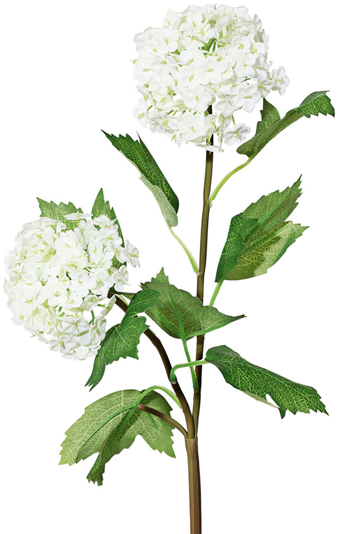 Creativ green Kunstblume »Schneeballzweig«