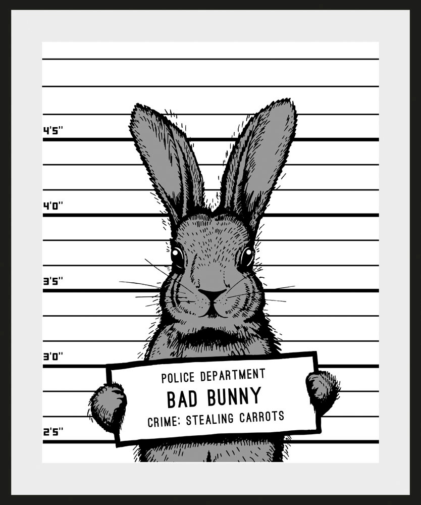 queence Bild »Akani« Hase   Hasen   Haustiere   Humor   Schwarz-Weiß 1 Stk. günstig online kaufen
