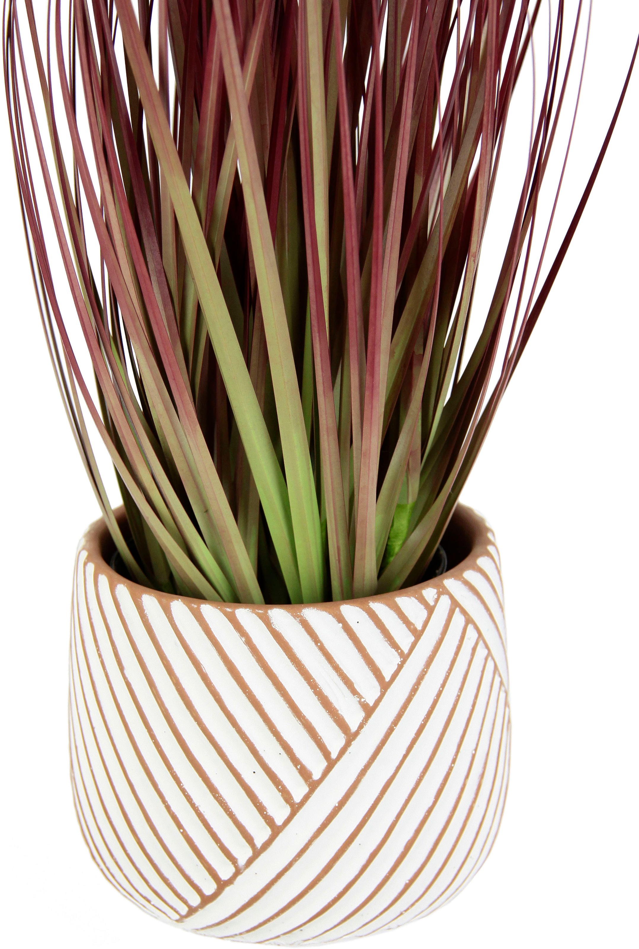 I.GE.A. Kunstpflanze »Fuchsschwanzgras« Mit Übertopf Kunstgras Deko Borsten günstig online kaufen