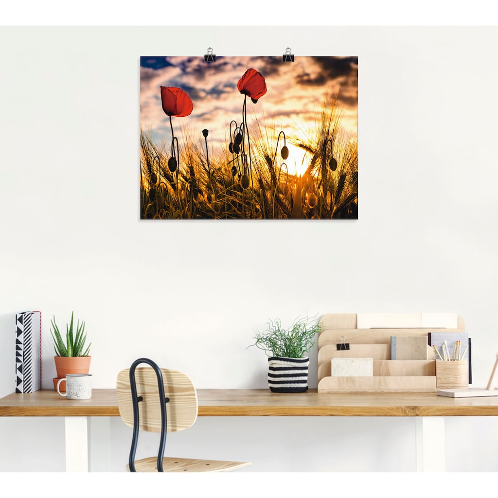 Artland Wandbild »Mohnblumen im Sonnenuntergang«, Blumen, (1 St.)