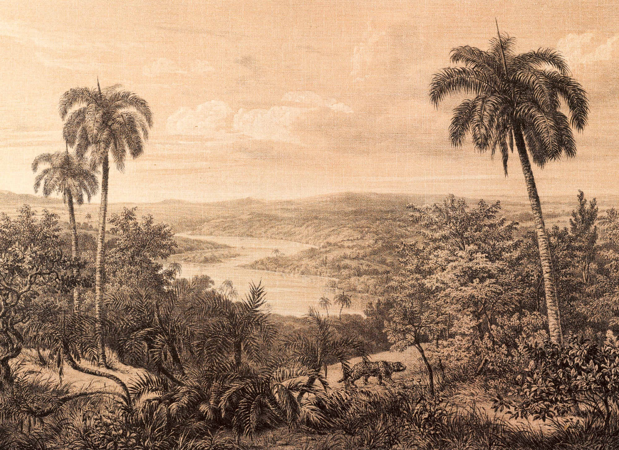 A.S. Création Vliestapete »Fototapete Tropenpanorama Sepia Vintage Dschunge günstig online kaufen