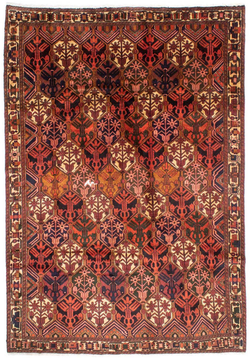 morgenland Wollteppich »Bachtiar Durchgemustert Rosso chiaro 288 x 210 cm«, günstig online kaufen