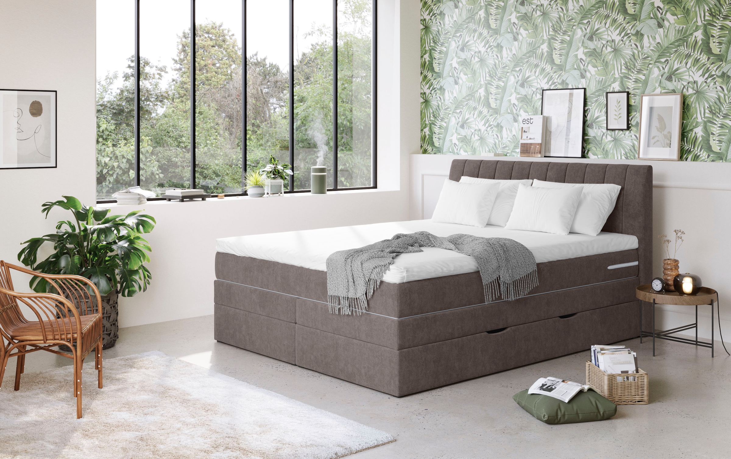 COTTA Boxspringbett »Shark inkl. Bettkasten und Topper«, erhältlich in den günstig online kaufen