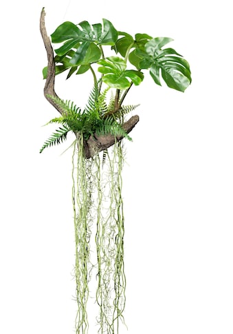 Creativ green Kunstpflanze »Splitphilodendron«, (1 St.) kaufen
