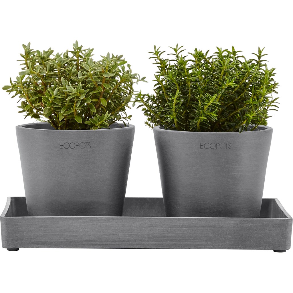 ECOPOTS Blumentopfuntersetzer »DISPLAY PLATTER«