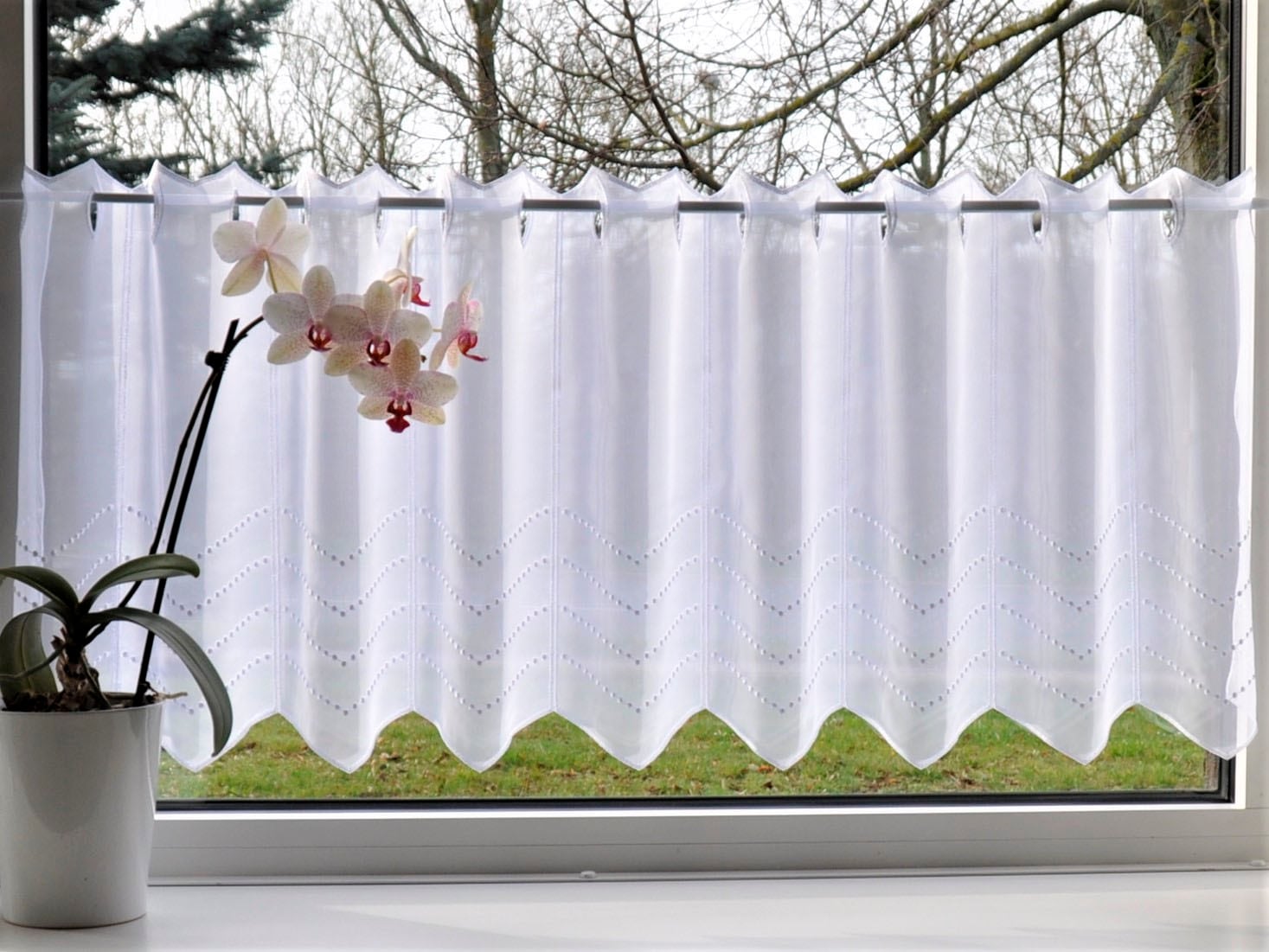 Stickereien Plauen Scheibengardine »Grafik« Stangendurchzug 1 Stk. tlg. günstig online kaufen