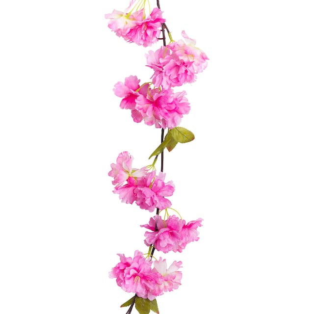 Botanic-Haus Kunstblume »Kirschblütengirlande«, (1 St.) online kaufen