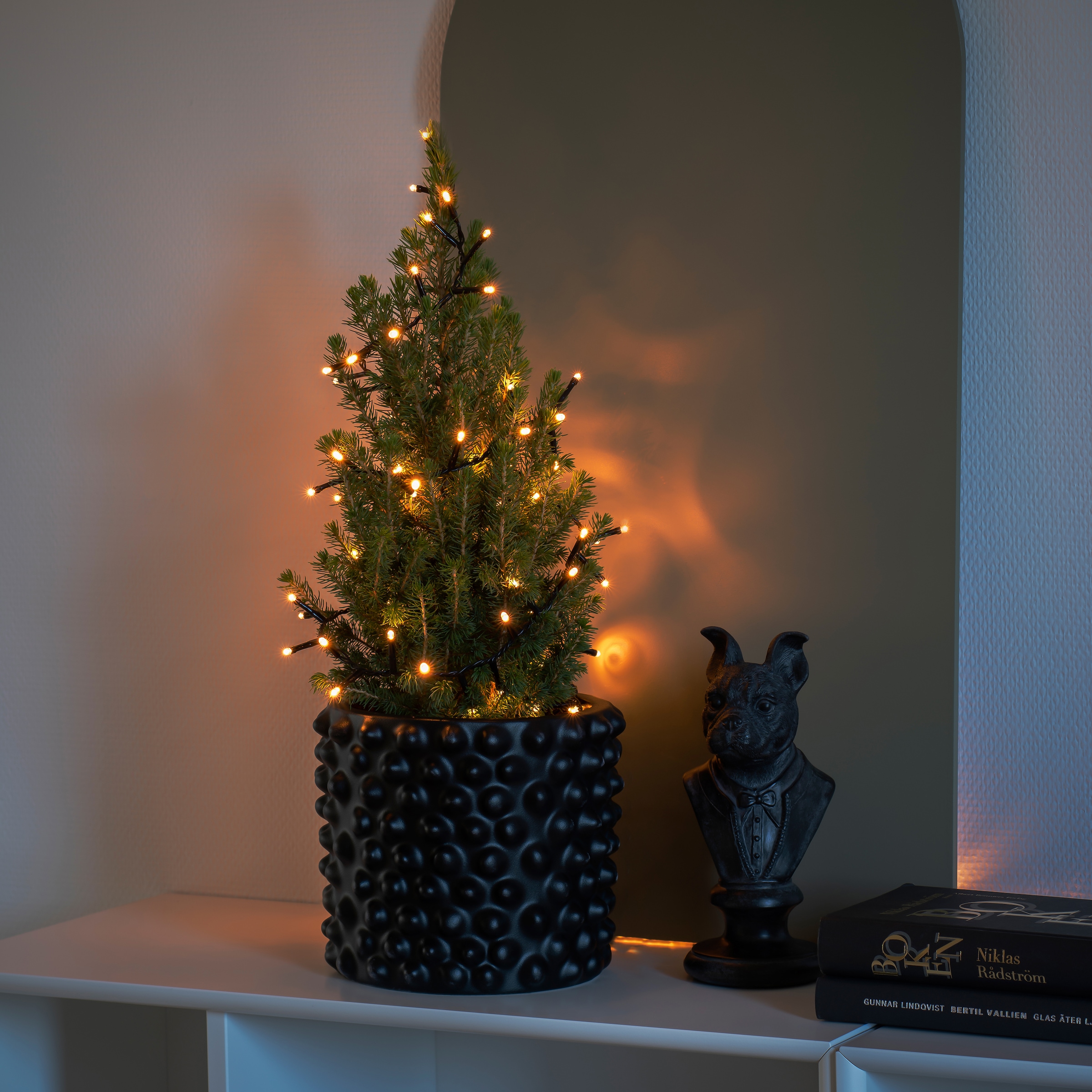KONSTSMIDE LED-Lichterkette Dioden auf »Büschellichterkette kaufen Weihnachtsdeko«, Cluster, mit 200 Rechnung bernsteinfarbenen