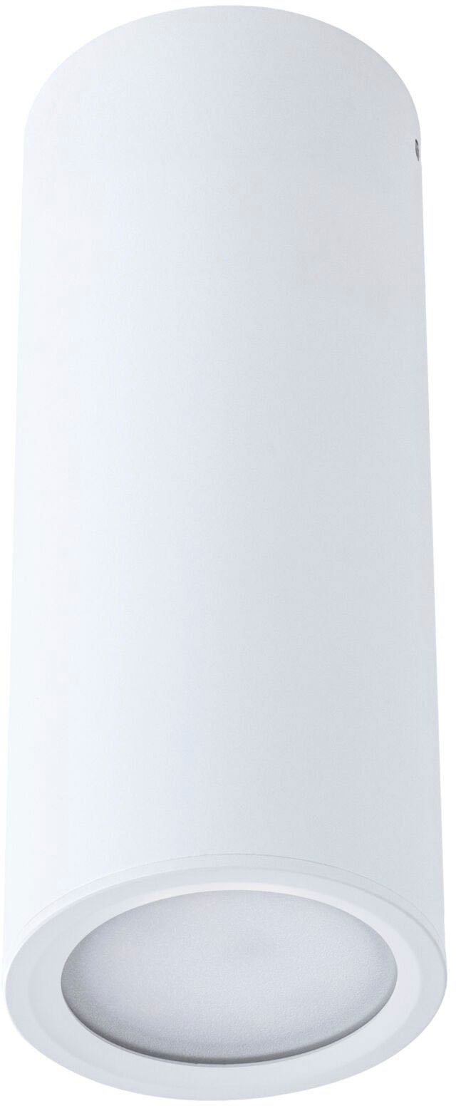 Paulmann Aufbauleuchte »Barrel 1x6W 2700K 470lm«, 1 flammig günstig online kaufen