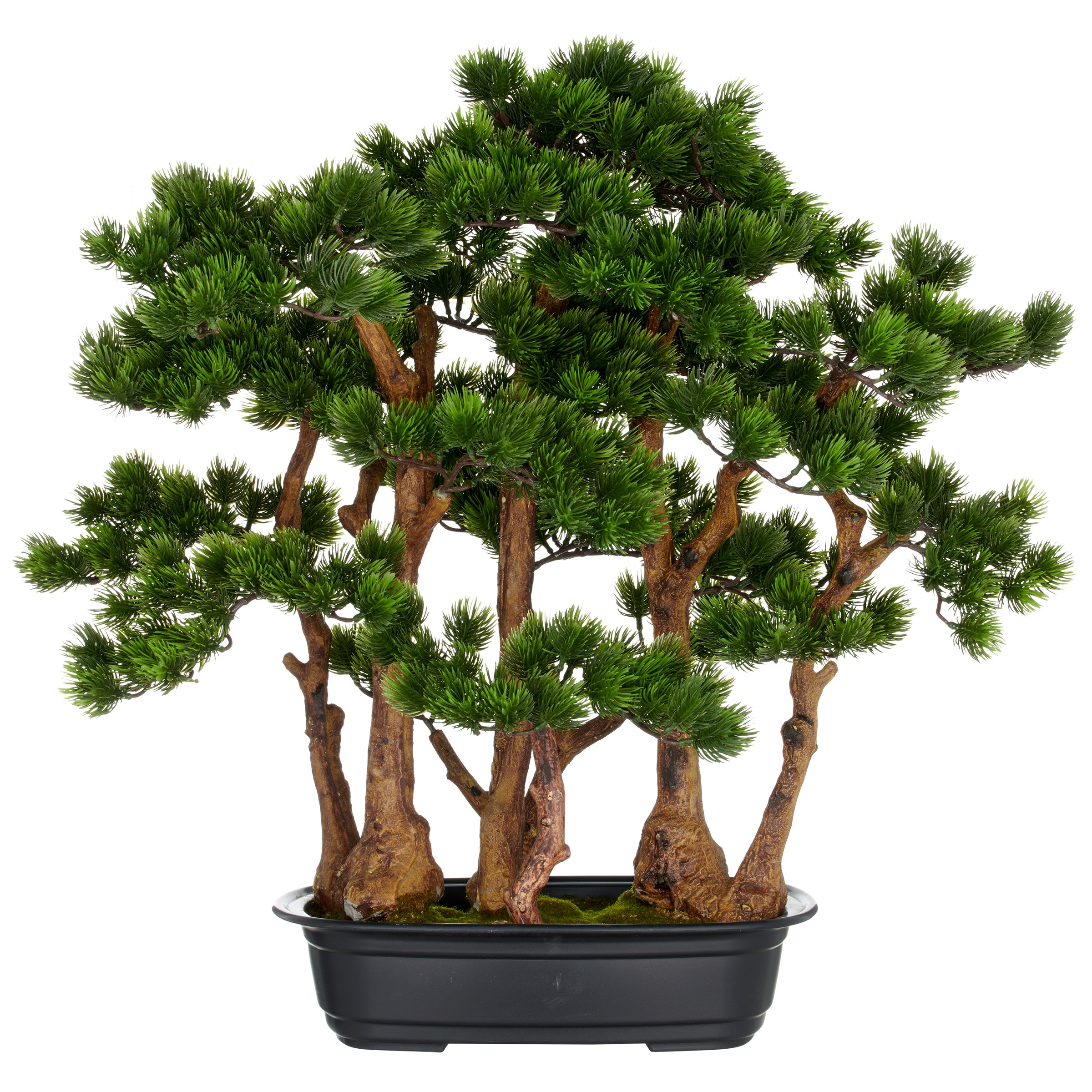Creativ green Kunstbonsai »Bonsai Kiefer«, mit detailgetreuer Gestaltung günstig online kaufen
