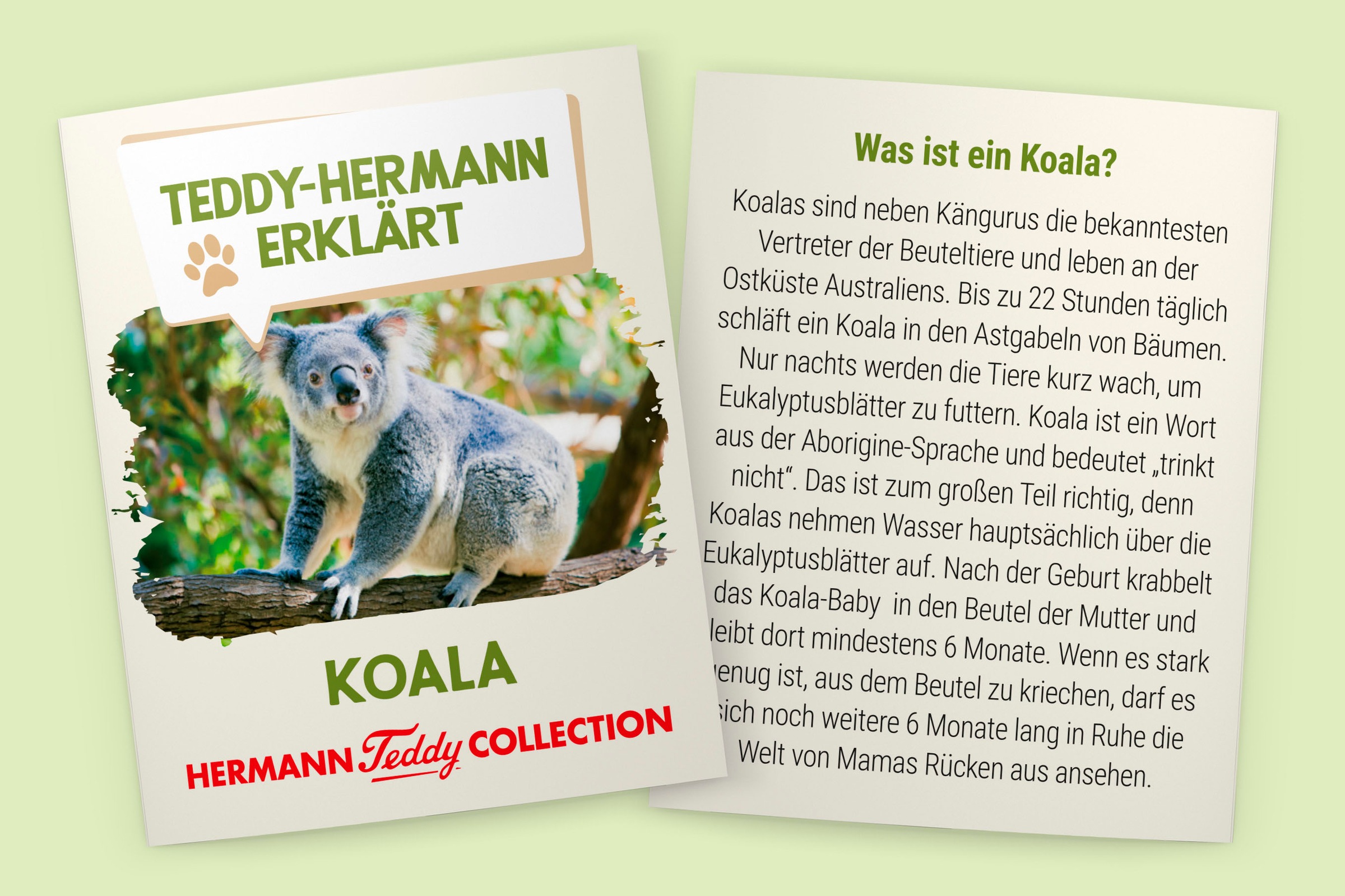 Teddy Hermann® Kuscheltier »Koalabär 21 cm«