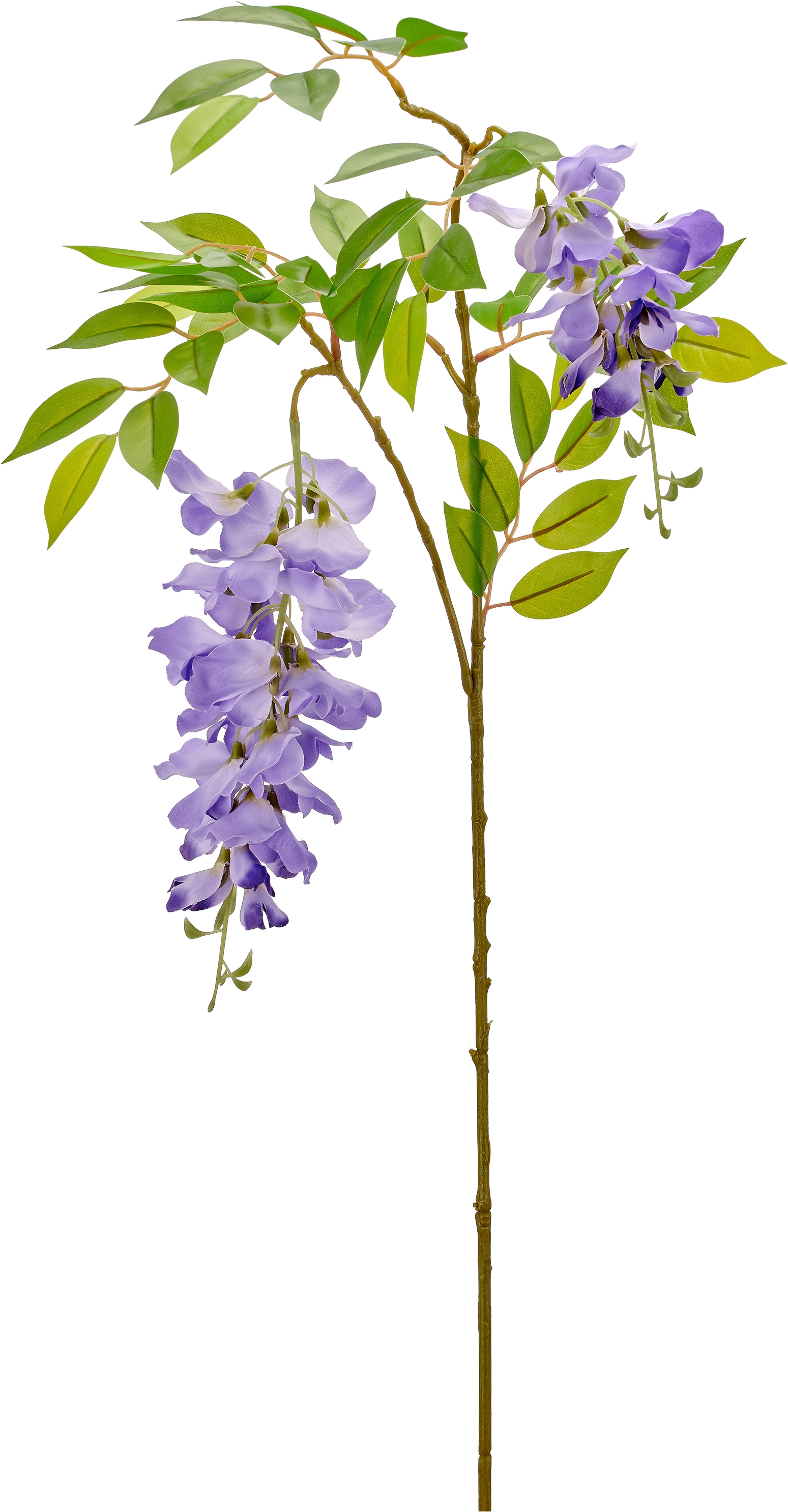 Creativ green Kunstzweig »Wisteriazweig« mit traumhaft schönen Blüten