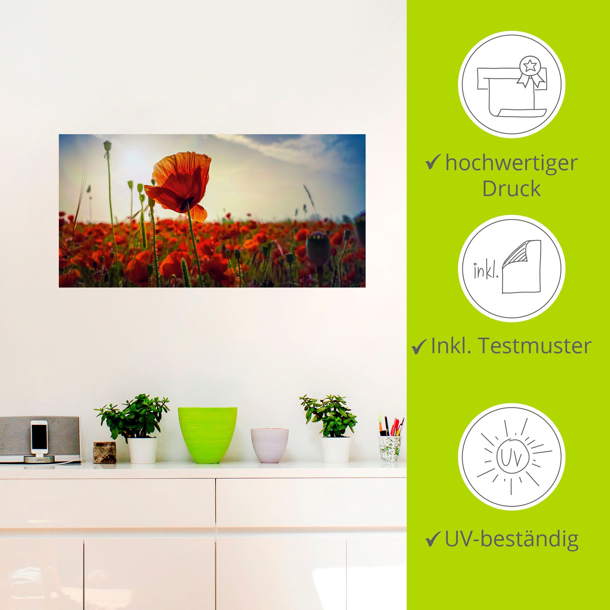 Artland Wandbild »Mohnfeld bei Leipzig im Sonnenschein«, Blumenbilder, (1 St.), als Alubild, Leinwandbild, Wandaufkleber oder Poster in versch. Größen