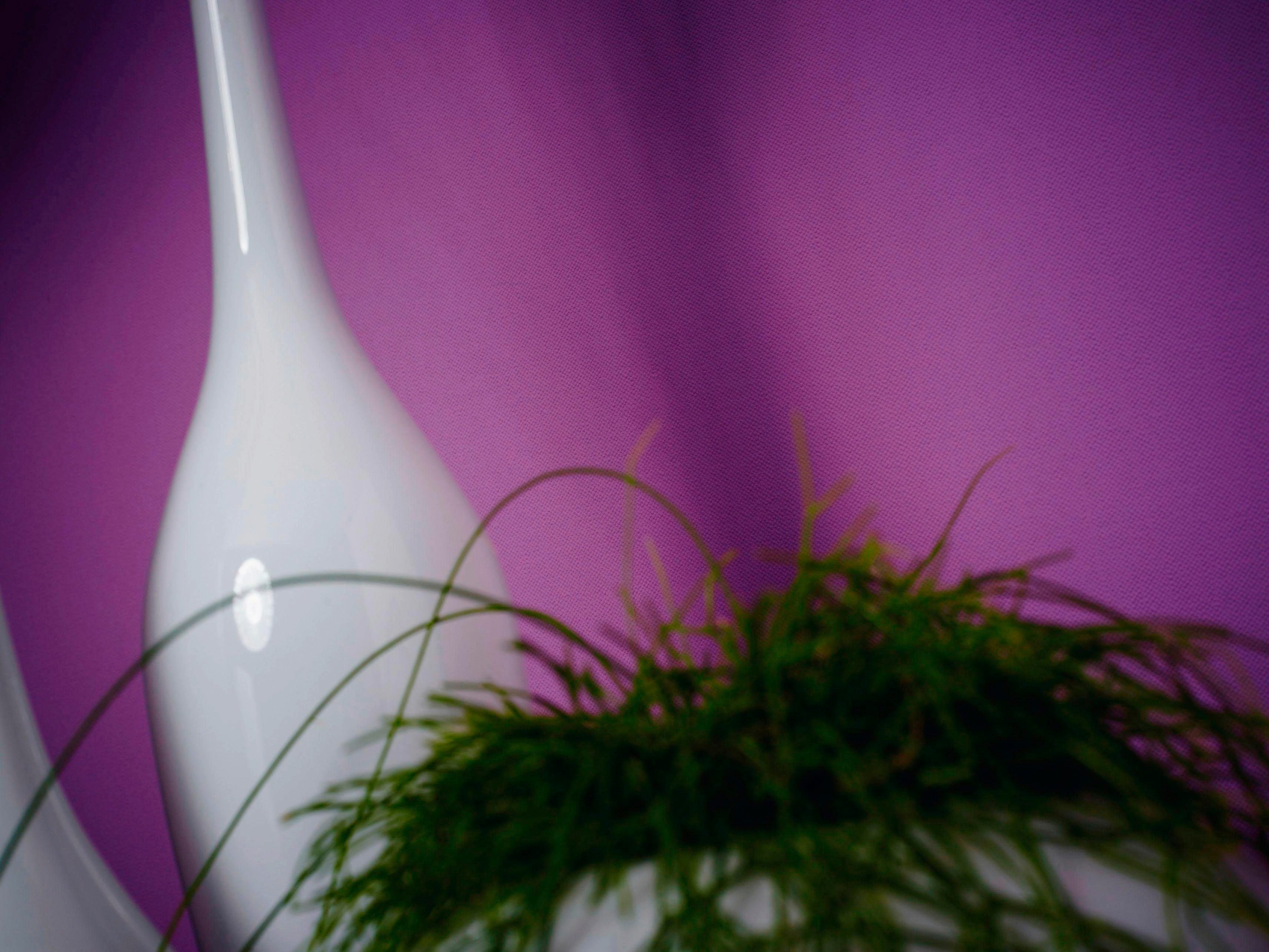 A.S. Création Vliestapete »Meistervlies« einfarbig | uni | unifarben leicht strukturiert Unitapete Überstreichbar matt leicht strukturiert Holzoptik Flur Optik