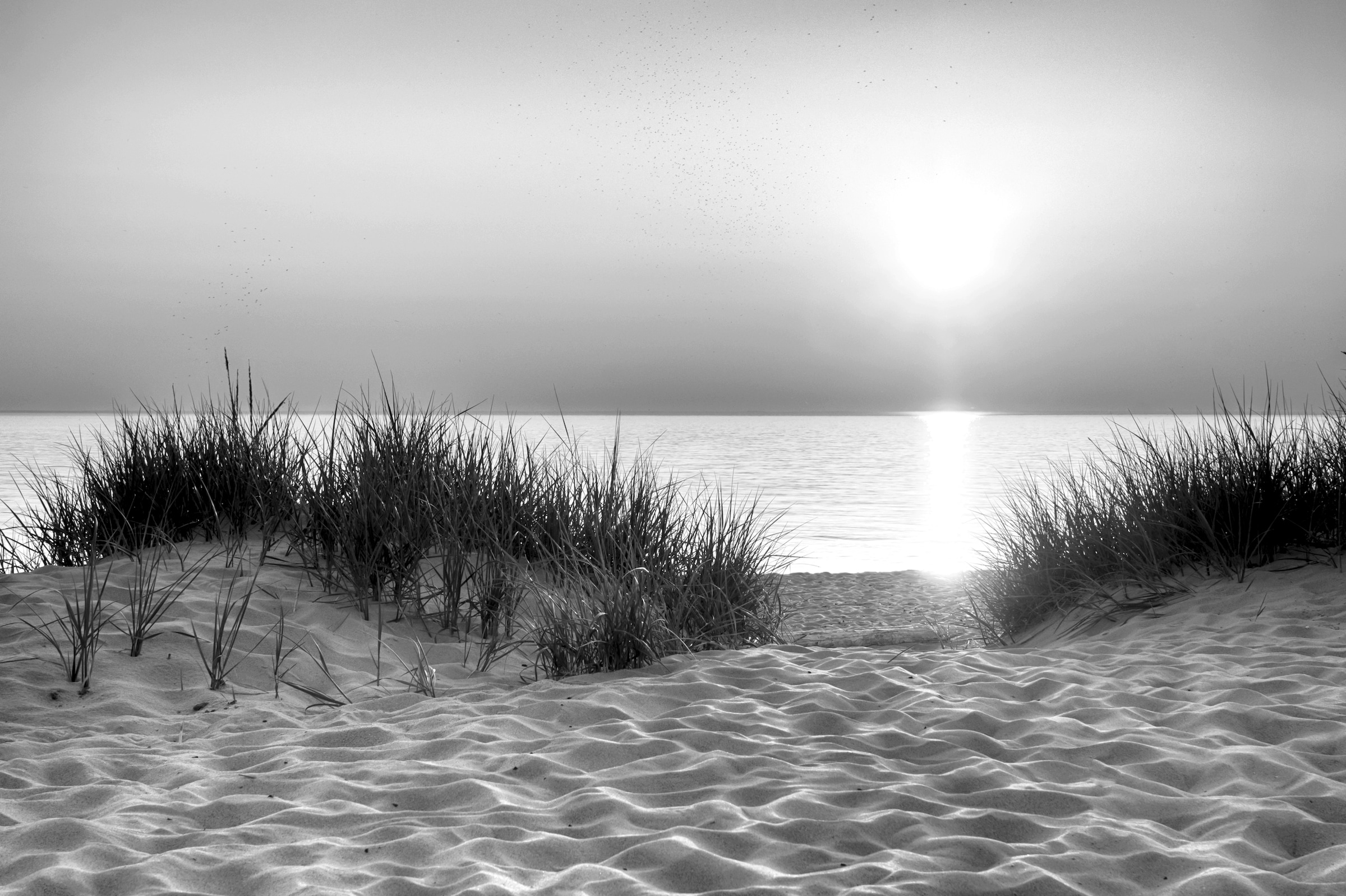 Papermoon Fototapete »Strand Schwarz & Weiß« günstig online kaufen