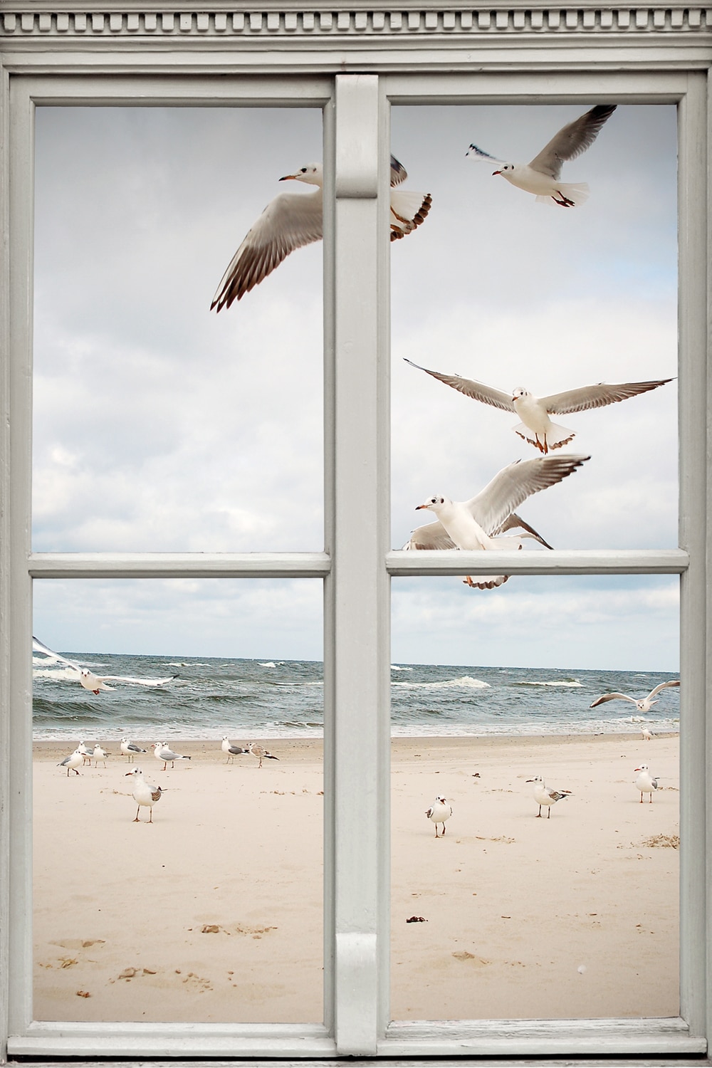 queence Leinwandbild »Möwen«, Meer-Natur-Vögel-Fensterblick, (1 St.), Premi günstig online kaufen