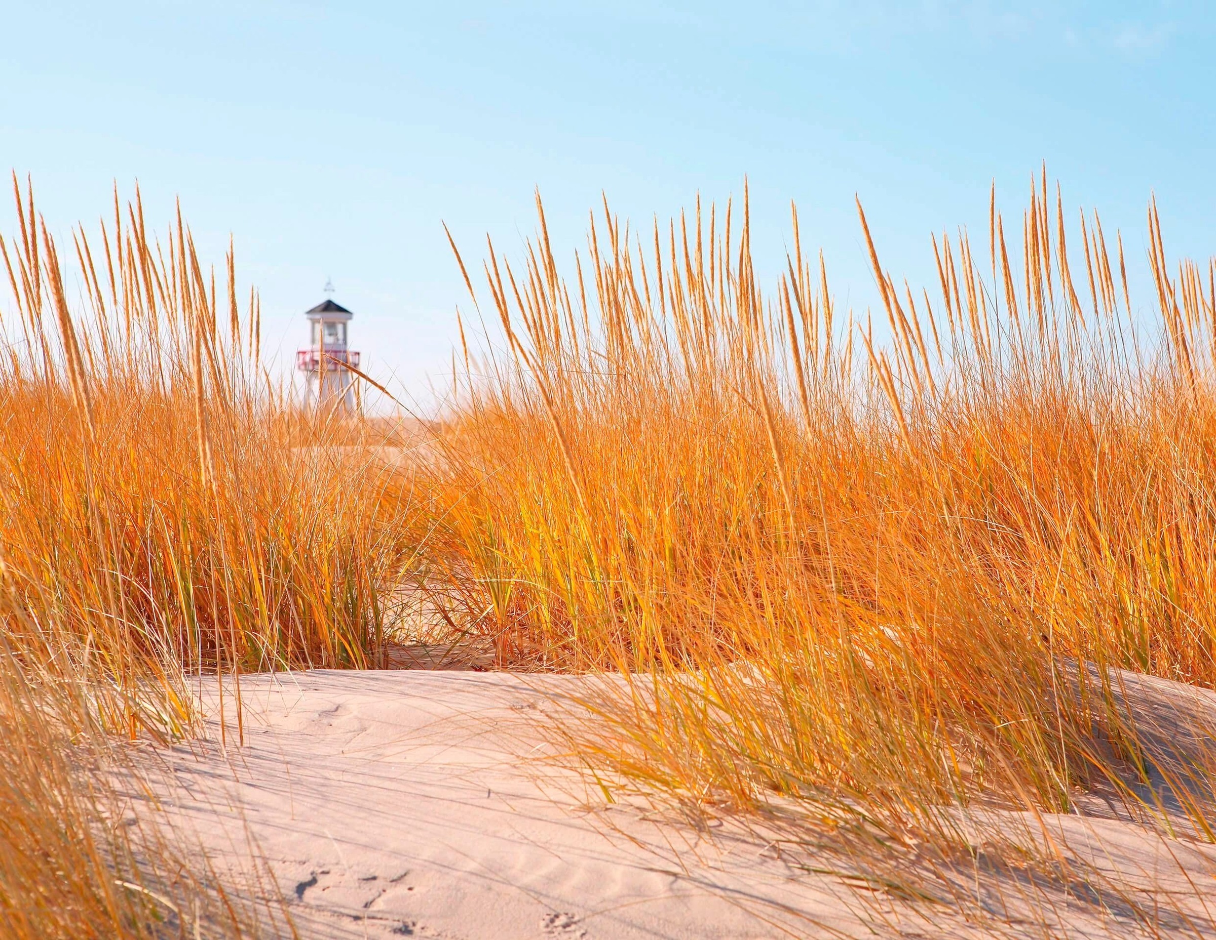 living walls Fototapete »Strand Dünen«, Motiv-abstrakt-naturalistisch, Düne günstig online kaufen