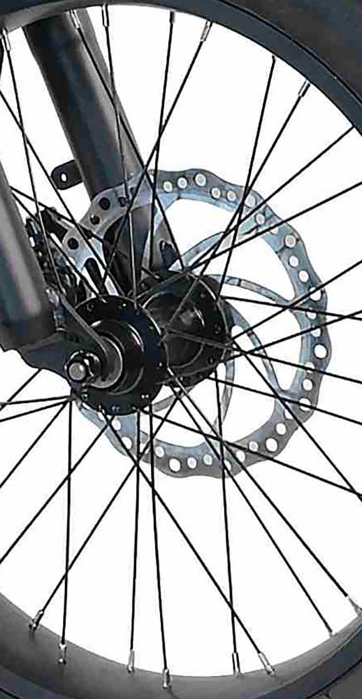 LLobe »Moto E-Bike Moto 2.6« 8 Gang Shimano Tourney Schaltwerk Kettenschaltung Heckmotor 250 W