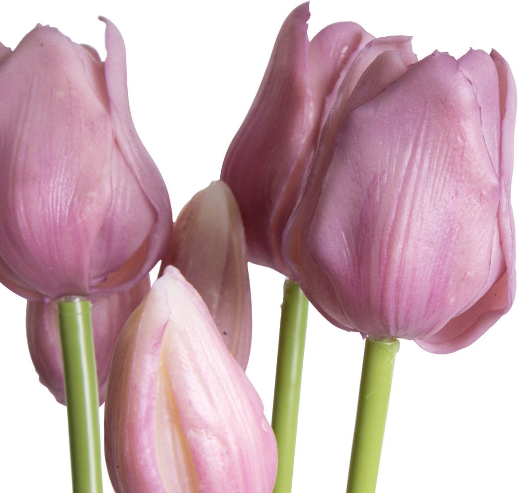 my home Kunstpflanze »Maiva«, Tulpenbündel im 7er-Set