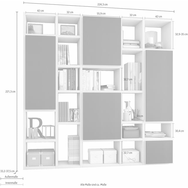 fif möbel Raumteilerregal »TORO 530-2«, Breite 224 cm online bestellen